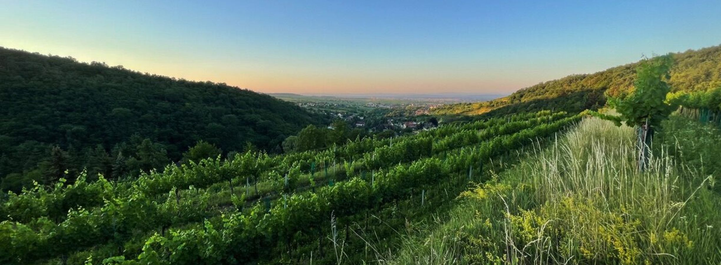 Lagen der Weingüter